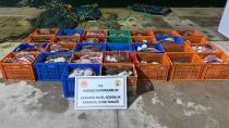Karasu'da 300 Adet kaçak kalkan balığına el konuldu